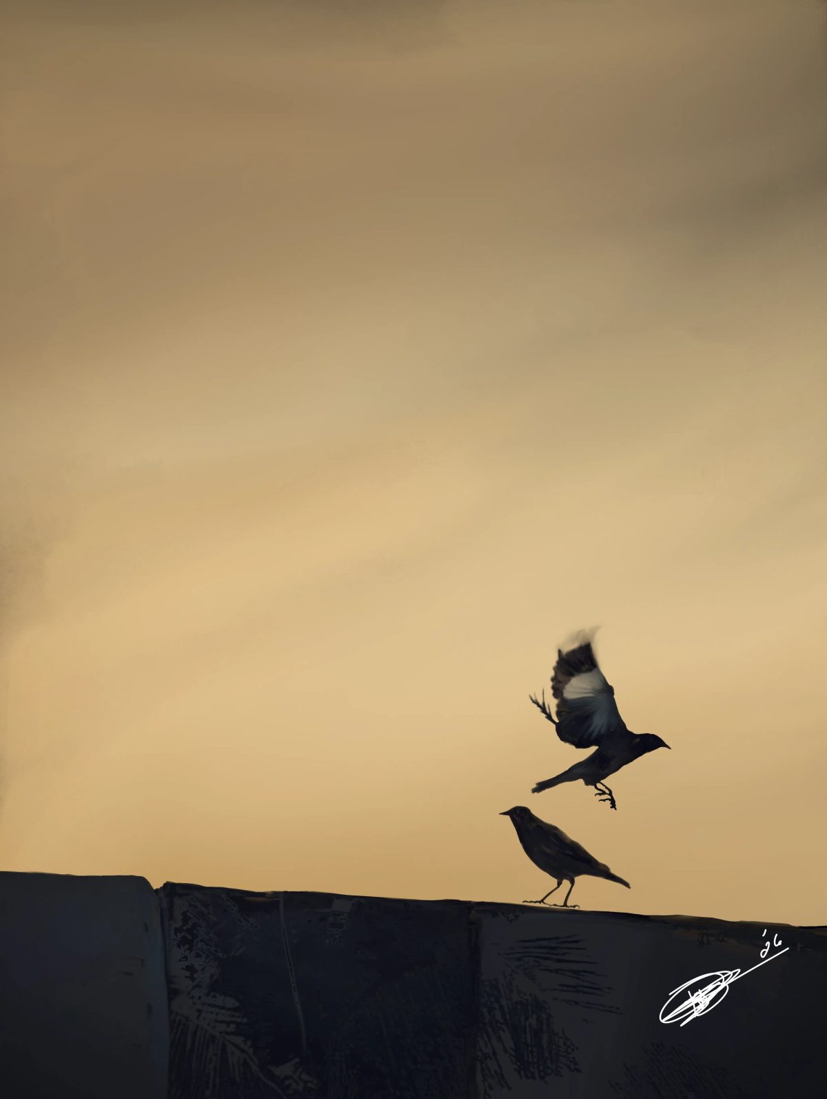 1000066408 — Nature by Paul Samson
